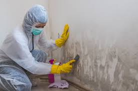 Why You Should Choose Our Mold Remediation Services in West Unity, OH